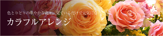 ����ե륢���
