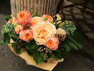 �Х�ȥ֥롼�٥꡼�Υ���󥸥���
