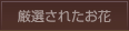 �������줿����