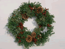 NOEL�꡼�� ���¤�Τȥ��꡼��ǡ�